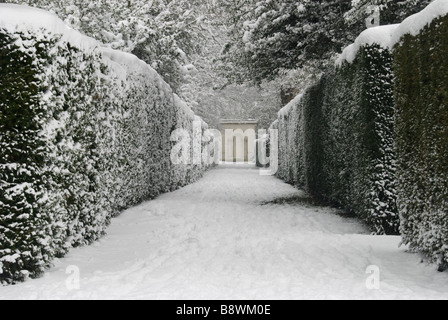 Snowy hedge percorso rivestito in Chiswick Park Gardens Foto Stock