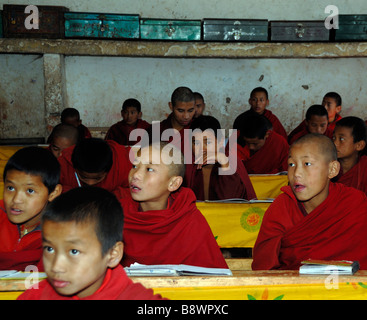 Giovani monaci in classe A dello stato scuola monastica Phodrung Dechen monastero. Foto Stock