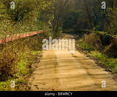 Vista del parco a piedi - in disuso la linea ferroviaria in linea del nord ora un sentiero natura frequentata da escursionisti e per gli amanti del jogging uguali. Foto Stock