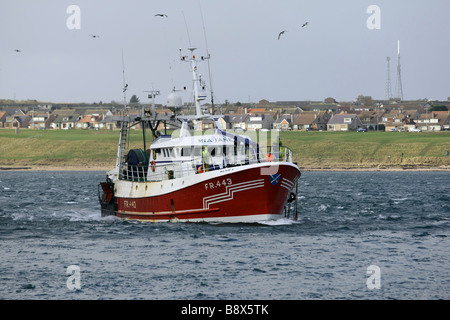 Red peschereccio entra nel porto di Peterhead, Scozia, il più grande del Regno Unito, coregoni porta a sbarcare le loro catture Foto Stock