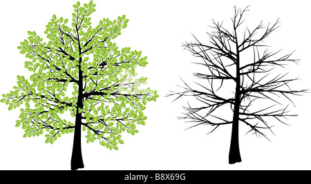 Illustrazione della struttura raffigurante la primavera e inverno Foto Stock