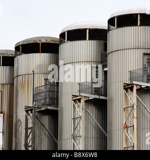 Vasche di fermentazione cervelli Brewery Cardiff Wales UK Foto Stock