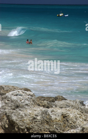 Matura in acqua sulla spiaggia di gru,Barbados nei Caraibi Foto Stock