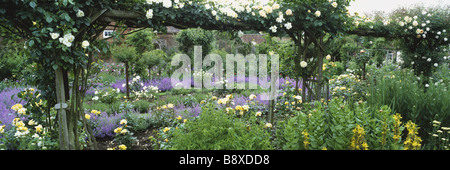 Il pergolato giardino presso la Sala Gunby con il bianco e il giallo di rose e lavanda sotto crescente. Una delle pareti è in background. Foto Stock