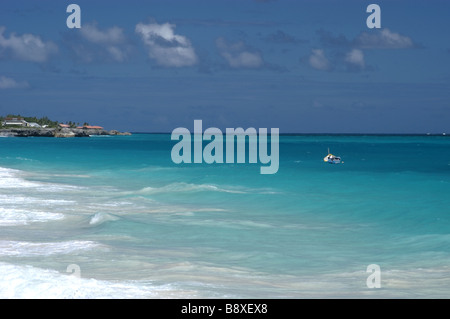 Matura in acqua sulla spiaggia di gru,Barbados nei Caraibi Foto Stock