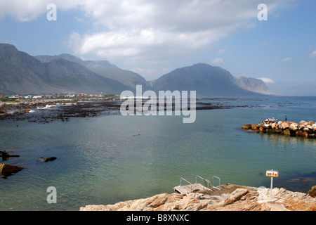 Vista su Betty's Bay overberg sud africa Foto Stock