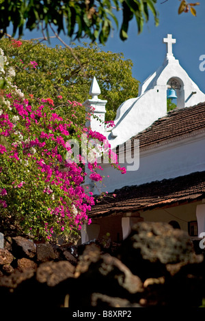 Bouganville in fiore bush vicino al bianco chiesa cattolica scena. Foto Stock