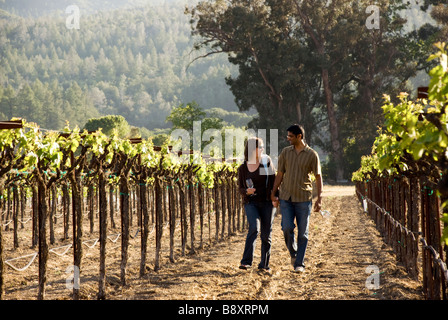 Giovane passeggiate in vigna Foto Stock