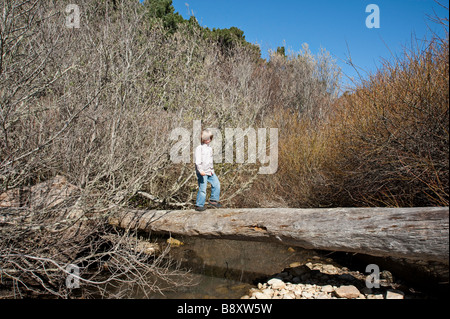 Un giovane ragazzo passeggiate con cautela attraverso un registro caduto al di sopra di un flusso con uno sfondo di alberi e cespugli Foto Stock