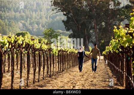 Giovane passeggiate in vigna Foto Stock