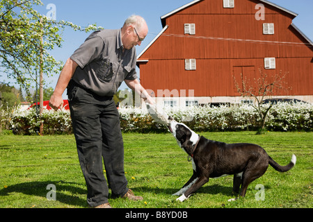 Un uomo che gioca con un cane in Svezia. Foto Stock