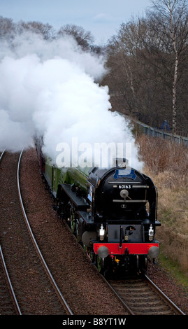 Tornado motore di vapore è una nuova classe di Peppe A1 Pacific locomotore raffigurata sul suo primo viaggio in Scozia nel febbraio 2009 Foto Stock