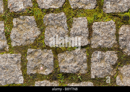 Vecchio marciapiede con un muschio Foto Stock