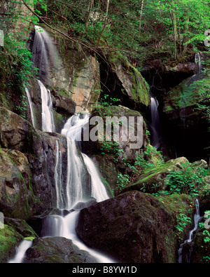 Il luogo di mille sgocciola lungo Roaring Fork natura Drive, Great Smoky Mountains National Park, Tennessee Foto Stock