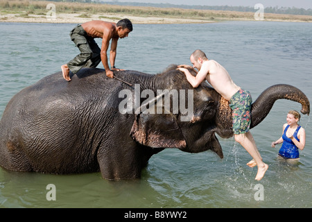 Elephant di balneazione con i turisti in Rapti Rapoti fiume nel Parco nazionale di Royal Chitwan Nepal Foto Stock