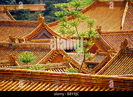 Beijing's Forbidden City (Imperial Palace Museum) roof tops in the residential area in rear of the complex Foto Stock