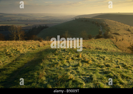 Vincere una verde collina, (vicino a Berwick San Giacomo, Wiltshire) con il bue guidato pista , guardando ad est all'alba. Presi in novembre. Foto Stock