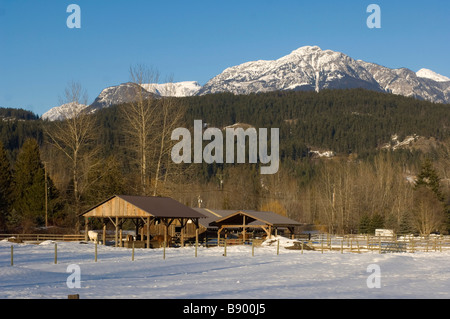 Coperta di neve farm stabili in Pemberton Valley. Pemberton BC Canada Foto Stock