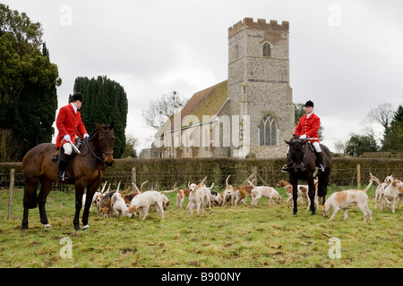 Huntsman Whipper in e foxhounds dell'Essex e Suffolk Hunt Inghilterra Foto Stock