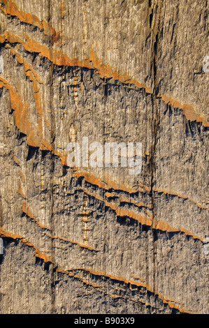 Close-up di texture di roccia Foto Stock