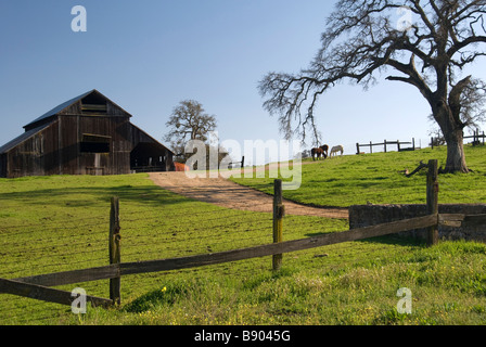 Paese fienile in una fattoria vicino a Rock Creek Road nella valle centrale della California del Nord Foto Stock