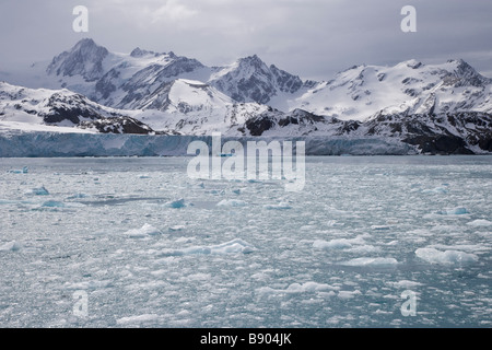 Isola Georgia del Sud, Regno Unito, Iris Bay - Mare di ghiaccio Foto Stock