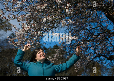 Una giovane donna gode il suo tempo al di sotto di un fiore di ciliegio albero in Beacon Hill Park, Victoria, British Columbia, Canada. Foto Stock