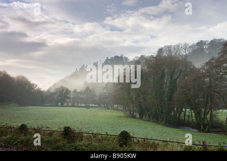 Misty inverno mattina nel fiume Valle di Exe a Coppleham Parco Nazionale di Exmoor Somerset Inghilterra Foto Stock