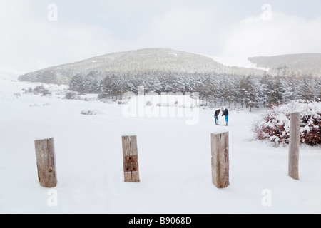 Puerto de la Ragua del Parque Nacional de Sierra Nevada provincia di Granada Spagna scena invernale Foto Stock