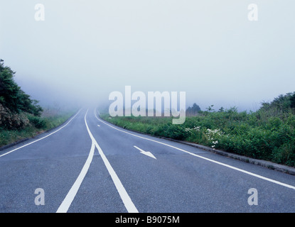 Strada tortuosa nella nebbia Foto Stock