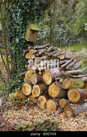 Il giardinaggio per la fauna selvatica di nidificazione di uccelli casella con una alimentazione di loga impilate contro un albero per una stagione che fornisce preziosi habitat per gli uccelli e i mammiferi anfibi compresi in questo esempio in Holbrook Giardino Devon per il ghiro e tritoni comuni Foto Stock