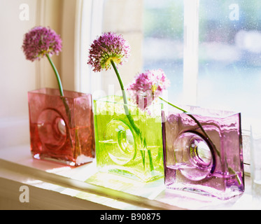 Vasi decorativi e fiori con concetto di arredamento interno sul davanzale,  ancora vita bella vaso con fiori secchi. Il concetto di comfort e casa Foto  stock - Alamy