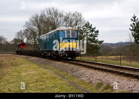 Classe 73 No.73136 (E6043) "perseveranza" presso la ferrovia Bluebell Sussex appena a nord di Horsted Keynes nel febbraio 2009 Foto Stock