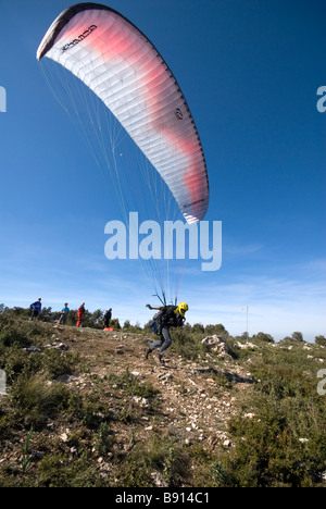 Lancio di parapendio dalla cima della collina Foto Stock