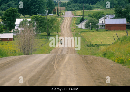 Un buggy Amish su una solitaria strada di campagna vicino alla comunità Amish in Upstate New York Foto Stock