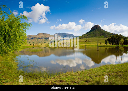 Vicino a Clarens, Libero Stato arancione, Sud Africa Foto Stock