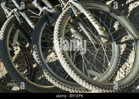 Ben amato mountain bike ruote Foto Stock