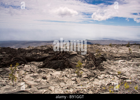 Il flusso di lava dal manualmente Ulu - Parco Nazionale Vulcani, Big Island, Hawaii, STATI UNITI D'AMERICA Foto Stock