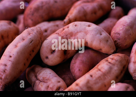 Patate dolci Foto Stock