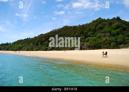 La baia di ancoraggio, il Parco Nazionale Abel Tasman, Tasmania, Isola del Sud, Nuova Zelanda Foto Stock