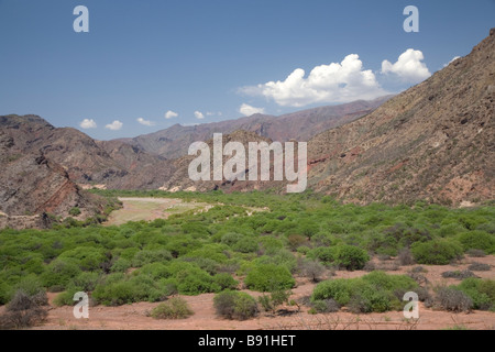 Cafayate Gorge, provincia di Salta, Argentina Foto Stock