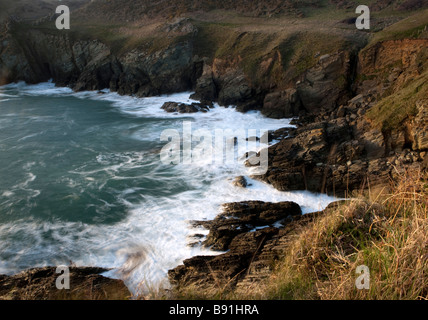 South Devon Coast a Prawle Point vicino Oriente Prawle. Regno Unito. Europa Foto Stock