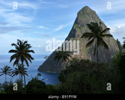 Petit Piton vista Palm Foto Stock