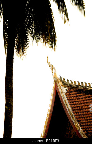 Laos, Vientiane, tempio del tetto, albero di cocco. Foto Stock