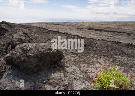 Il flusso di lava dal manualmente Ulu - Parco Nazionale Vulcani, Big Island, Hawaii, STATI UNITI D'AMERICA Foto Stock