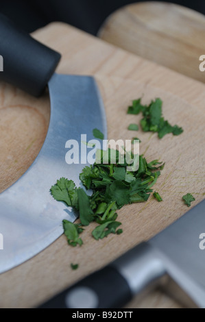 Tritate il coriandolo verde su un legno chiaro tagliere con una mezzaluna herb chopper. Foto Stock