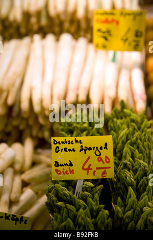 Nuova stagione coltivati localmente gli asparagi spargel sul display a Kleinmarkthalle in Frankfurt am Main Germania Foto Stock