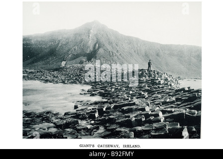 La Giant's Causewayis un area di circa 40.000 ad incastro le colonne di basalto, il risultato di una antica eruzione vulcanica. Foto Stock