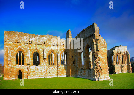 English Heritage Site Egglestone le rovine dell'abbazia nei pressi di Barnard Castle Durham County Teesdale England Regno Unito Foto Stock