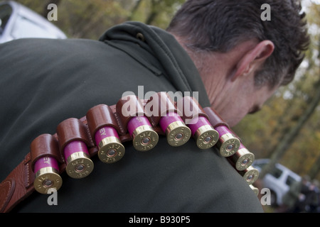 Cartucce inserite nella cinghia di una cartuccia Foto Stock
